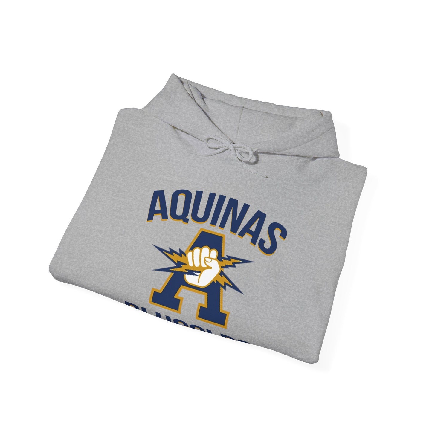 Aquinas Blugolds Hooded Sweatshirt