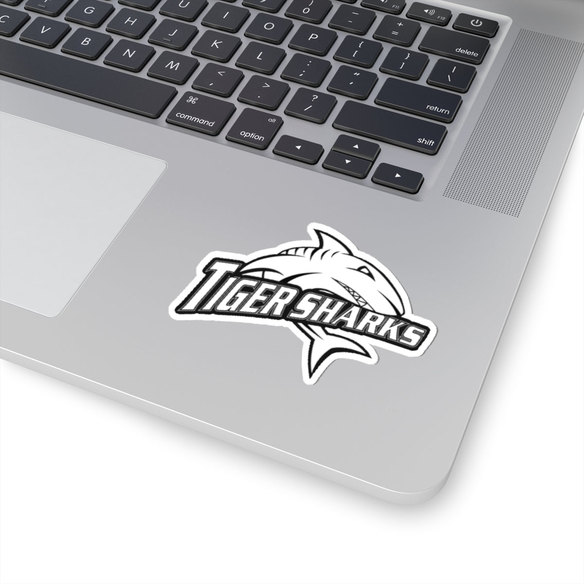 Princeton-Green Lake Tigershark Sticker